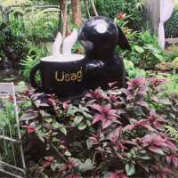 บันทึกเที่ยว @ usaki ระยอง