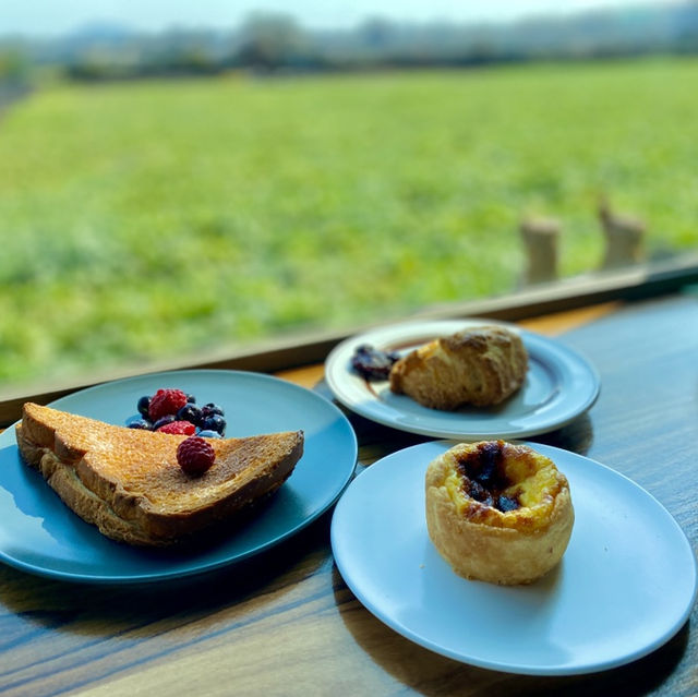 제주도 빵지순례 코스추천🥐