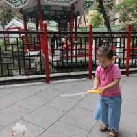 中式公園放電去