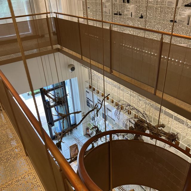 金光閃閃時尚空間｜分子藥局｜怎麼拍怎麼美