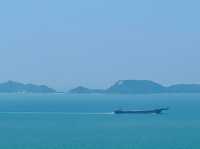 世界之大 中華白海豚