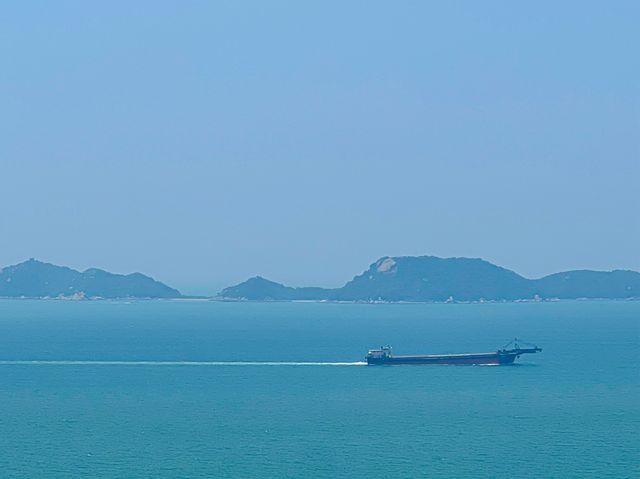 世界之大 中華白海豚
