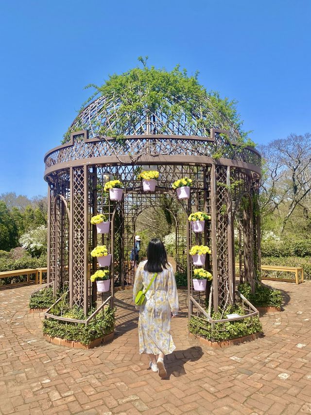 미니 제주🌸 짧은 제주 여행이라면 필수 코스!