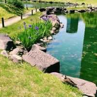 【日本庭園】旧芝離宮恩賜庭園