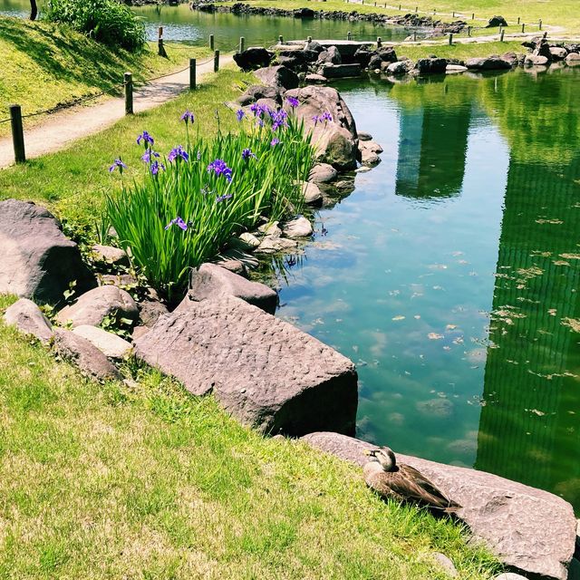 【日本庭園】旧芝離宮恩賜庭園