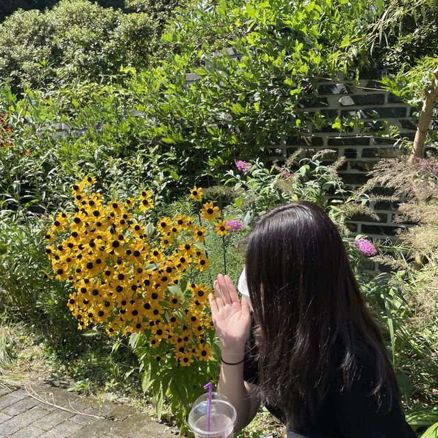 아침고요수목원에서 꽃구경 즐기기~🌳
