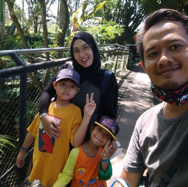 amazing zoo park in bali 