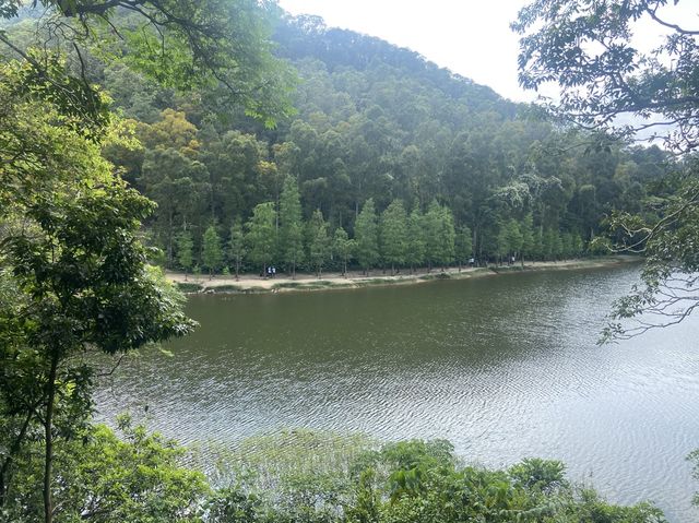 流水響 流水響