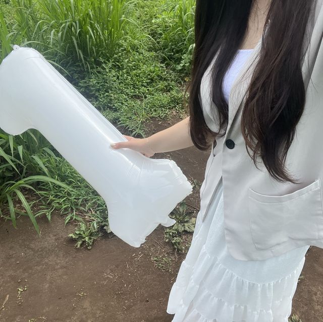구좌읍 스냅사진 찍기 좋은 곳, "비밀의 숲" 