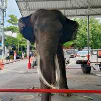 วัดสมานรัตนาราม ไหว้พระฉะเชิงเทรา