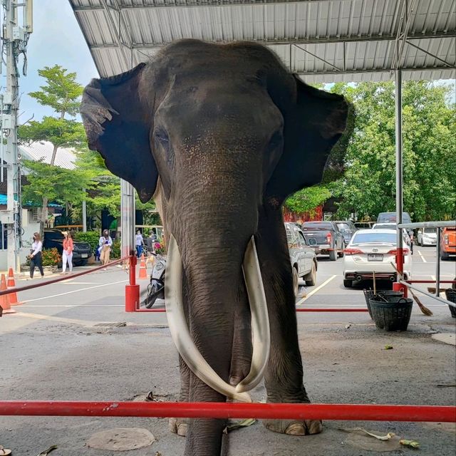 วัดสมานรัตนาราม ไหว้พระฉะเชิงเทรา