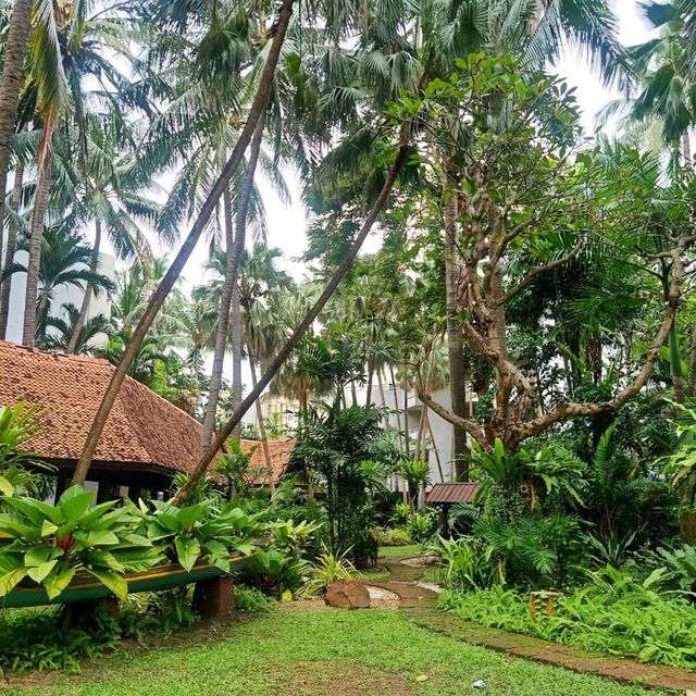 AVANI โรงแรมในป่าใหญ่