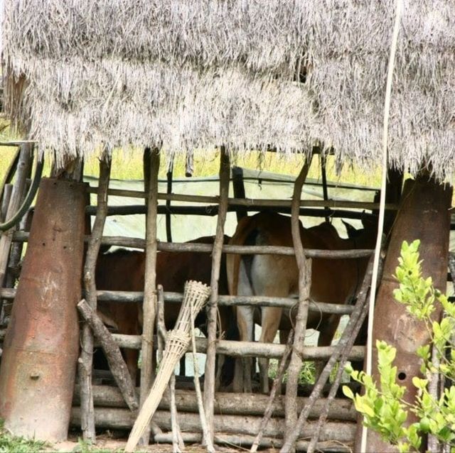 Bomb Village