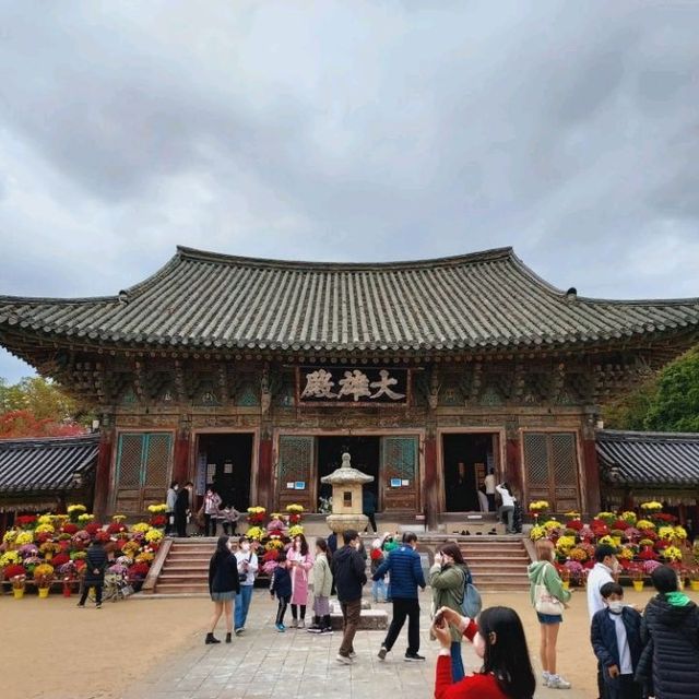 Colours at Bulguksa Temple  Gyeongju