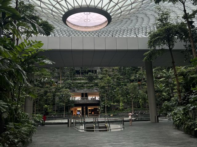 Forest Valley in JEWEL Changi Airport