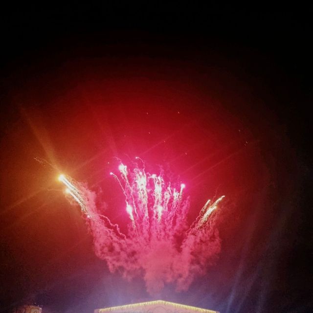 [경기 용인]언제 가도 좋은, 환상의 나라 에버랜드로 🥳
