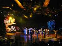 Musical live performances