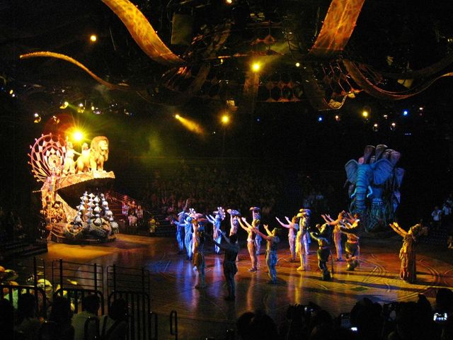 Musical live performances