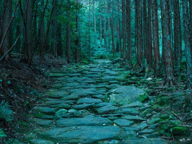 【熊野古道】神秘の世界に飛び込む！熊野古道馬越峠をご紹介