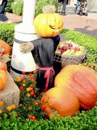 เที่ยว Tokyo disneysea ในช่วง Halloween 