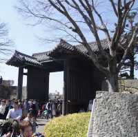日本最早的世界遺產～姬路城 🏰 