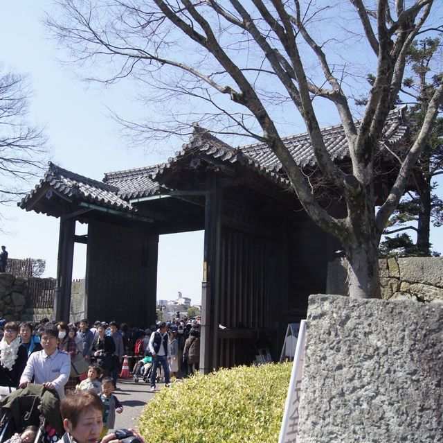 日本最早的世界遺產～姬路城 🏰 