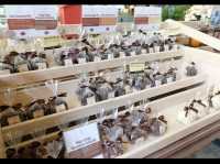 The Chocolate Factory khaoYai