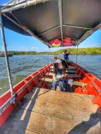 ล่องเรือชมวิว 🚣