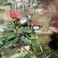 entopia penang 