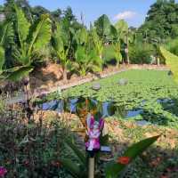 ELEANOR'S HAPPY FARM: NICE STOP IN CORON