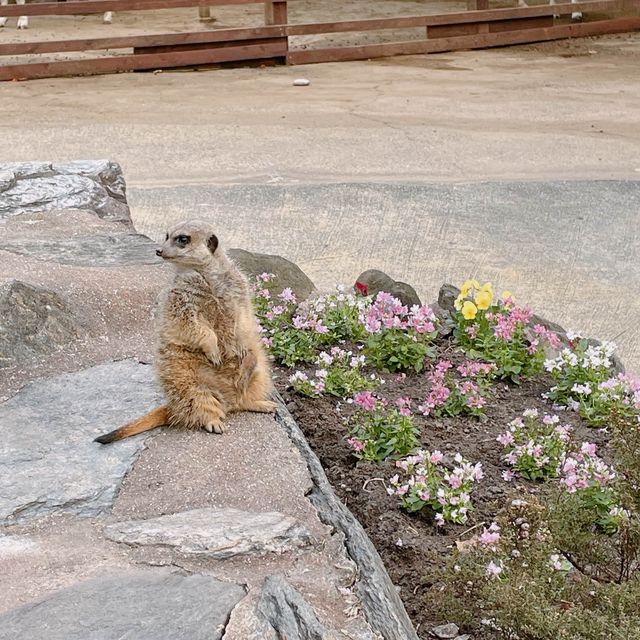 長崎旅行ならバイオパークでふれあい体験