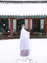 제주에 눈이 내리면 제일 먼저 달려가야 할 곳☃️
