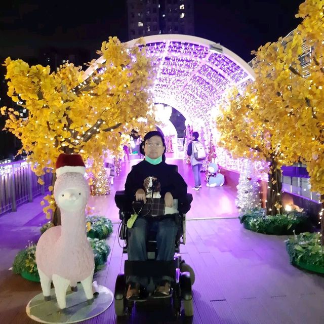 沙田新城市廣場有花燈海！
