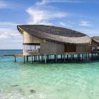 Hilton Maldives Amingiri Resort & Spa