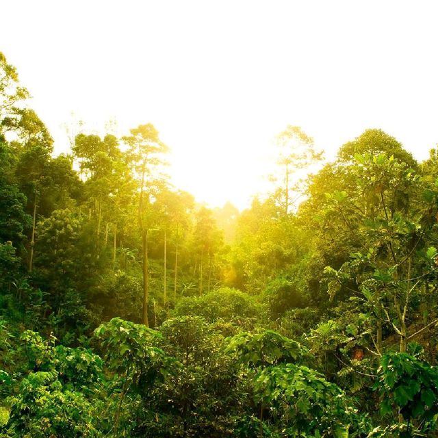 wisata bumi Kedaton