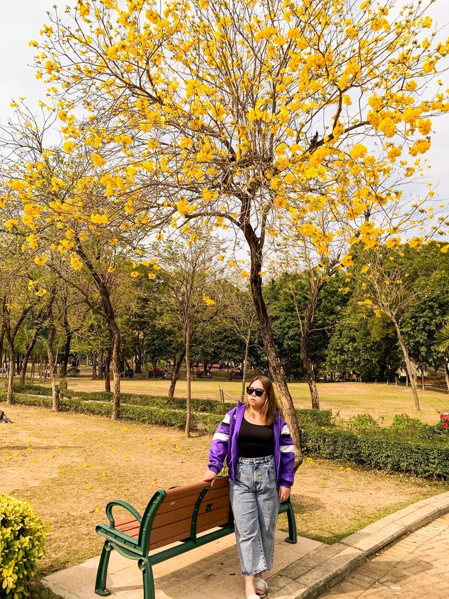 黃色杜鵑花