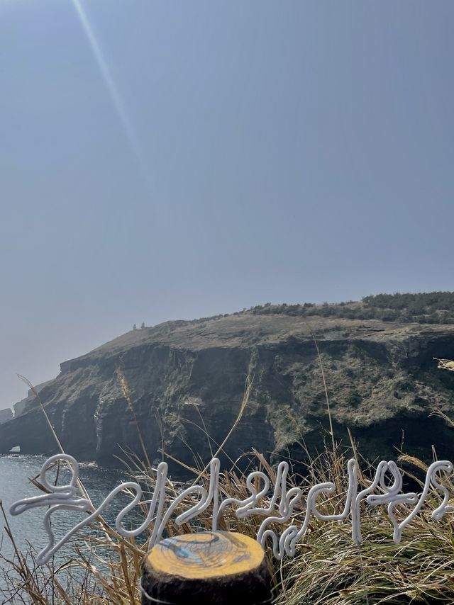 📍제주도의 또다른 섬 섬속에 섬 제주도우도🏝