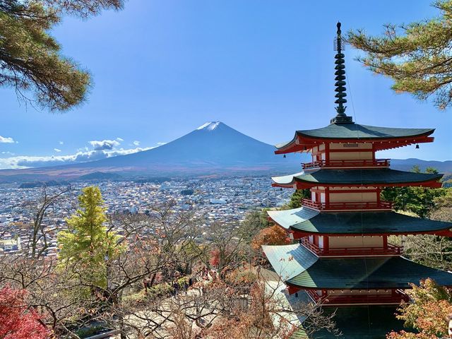 【富士山】日本を代表する観光スポット！！