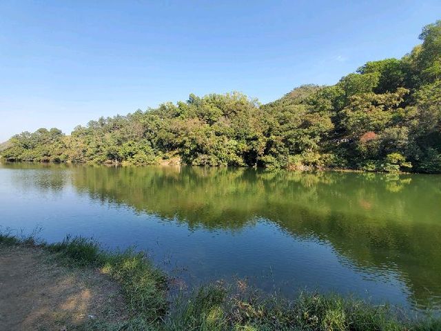 流水響 。鶴藪水塘 🍂適合行⛰️BB級 流水響 。鶴藪水塘 🍂適合行⛰️BB級
