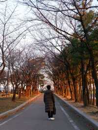 선유도공원, 서울 노을 명소 추천