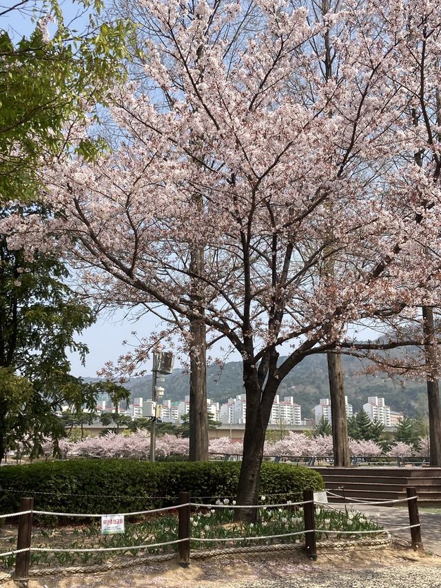 피크닉가기 좋은 김해공원