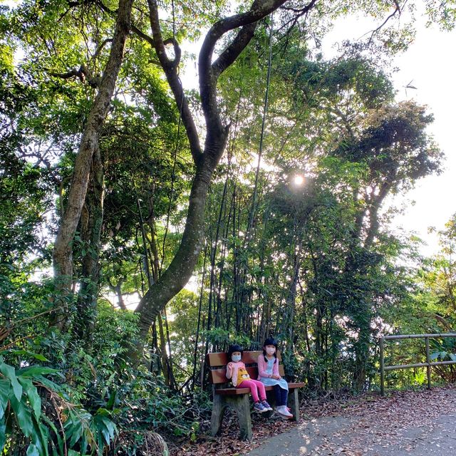 BB級行山路線：薄扶林水塘至太平山頂