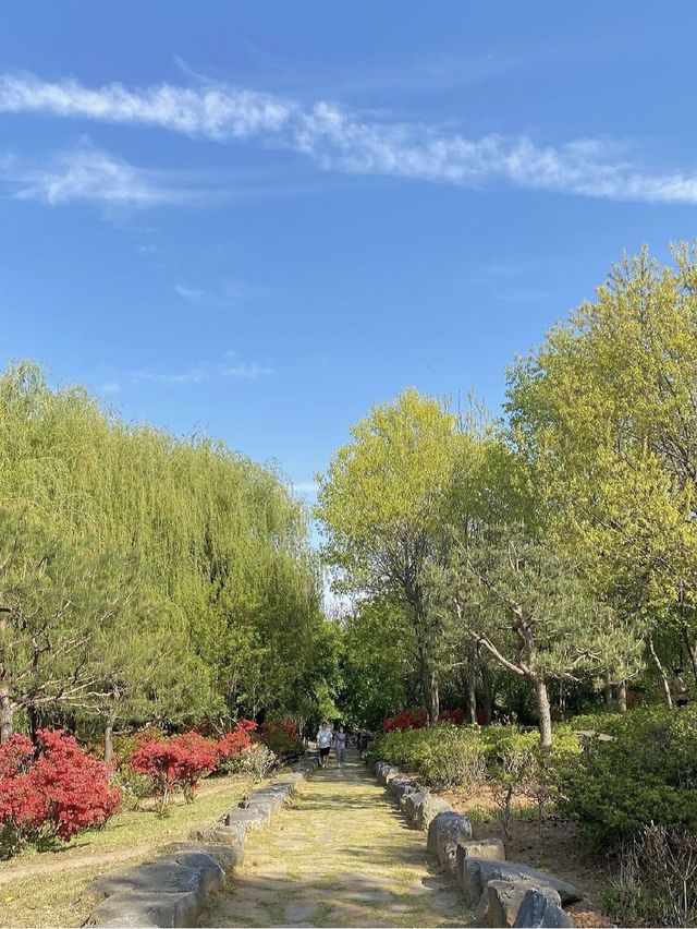 【전주】 포토존가득🌲한국도로공사수목원