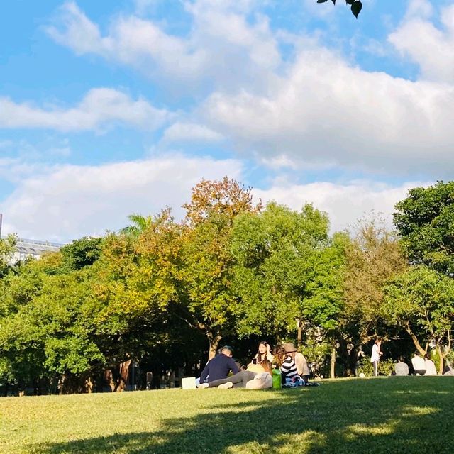대만대학교 잔디밭에서 여유롭게🍃