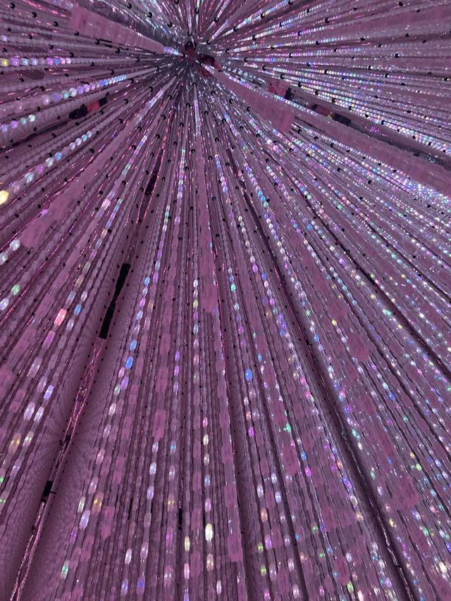 【脅威の映えスポット】東京・豊洲のチームラボで幻想的な世界を体感！