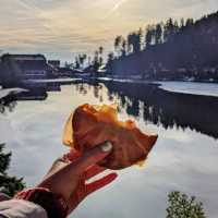 Scenic lake in Black Forest