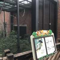  市區觀鳥好地方