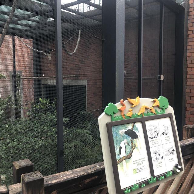  市區觀鳥好地方