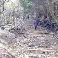 相模湾を一望な大倉尾根