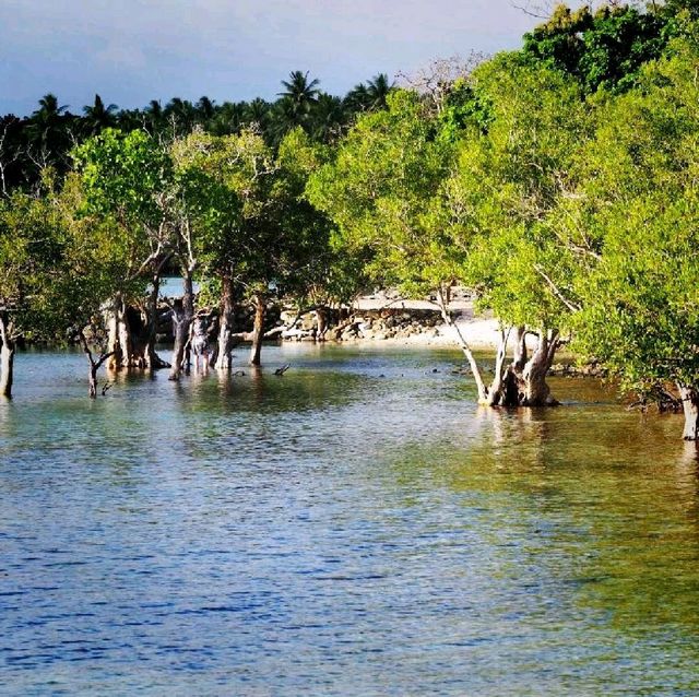 Enjoy the Ocean with Mangroves  in Ragay! 